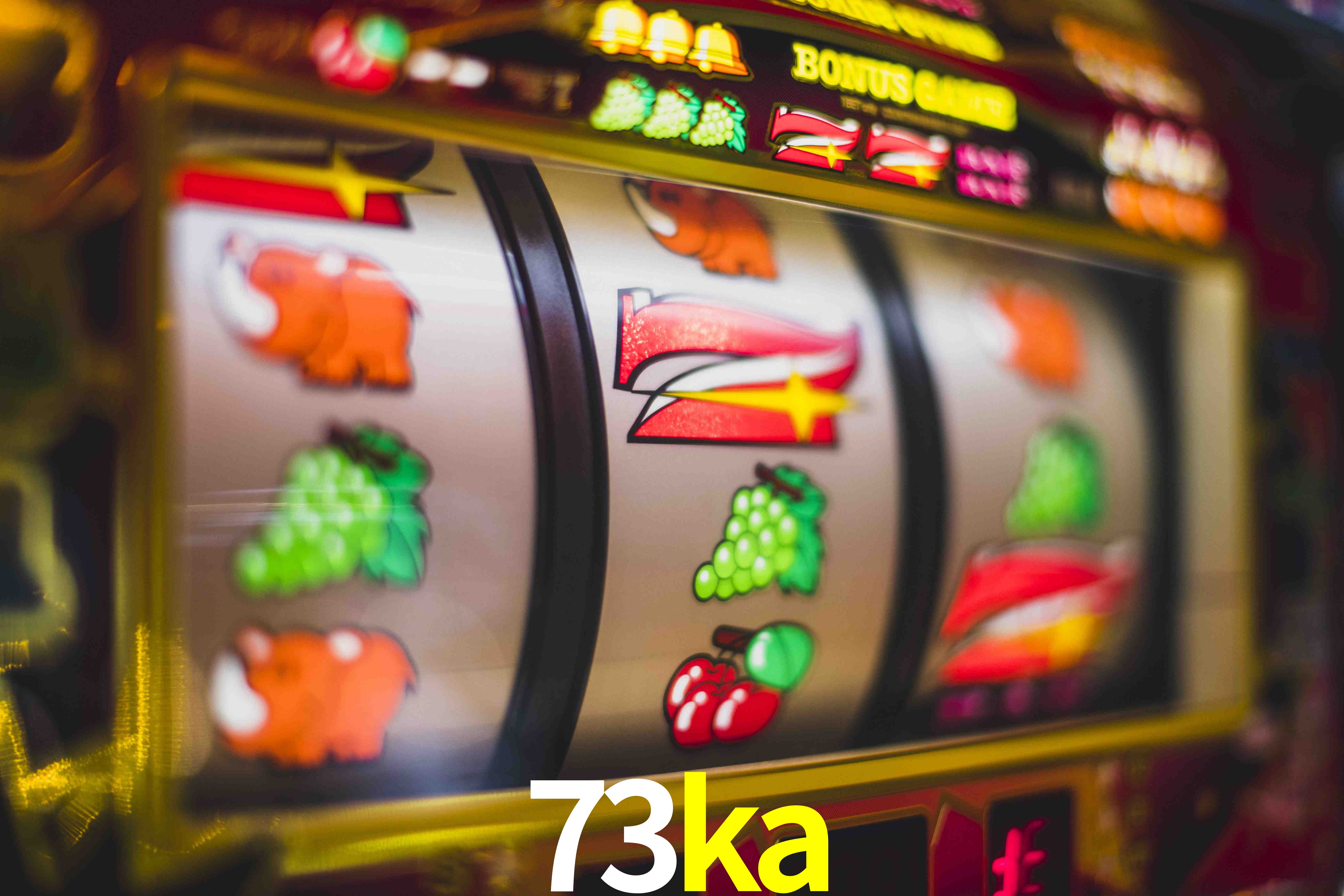VIP Casino 73ka